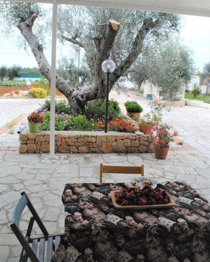 Microborgopasca Bed and Breakfast Sannicola Exteriör bild